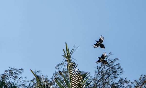 Wie kann man Motivation für eine gesunde Lebensweise aufrechterhalten?