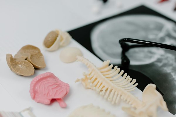 Welche Ãœbungen sind fÃ¼r Schwangere besonders geeignet?